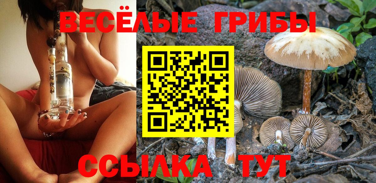 Псилоцибиновые грибы Cubensis  Вход с VPN  Самара 